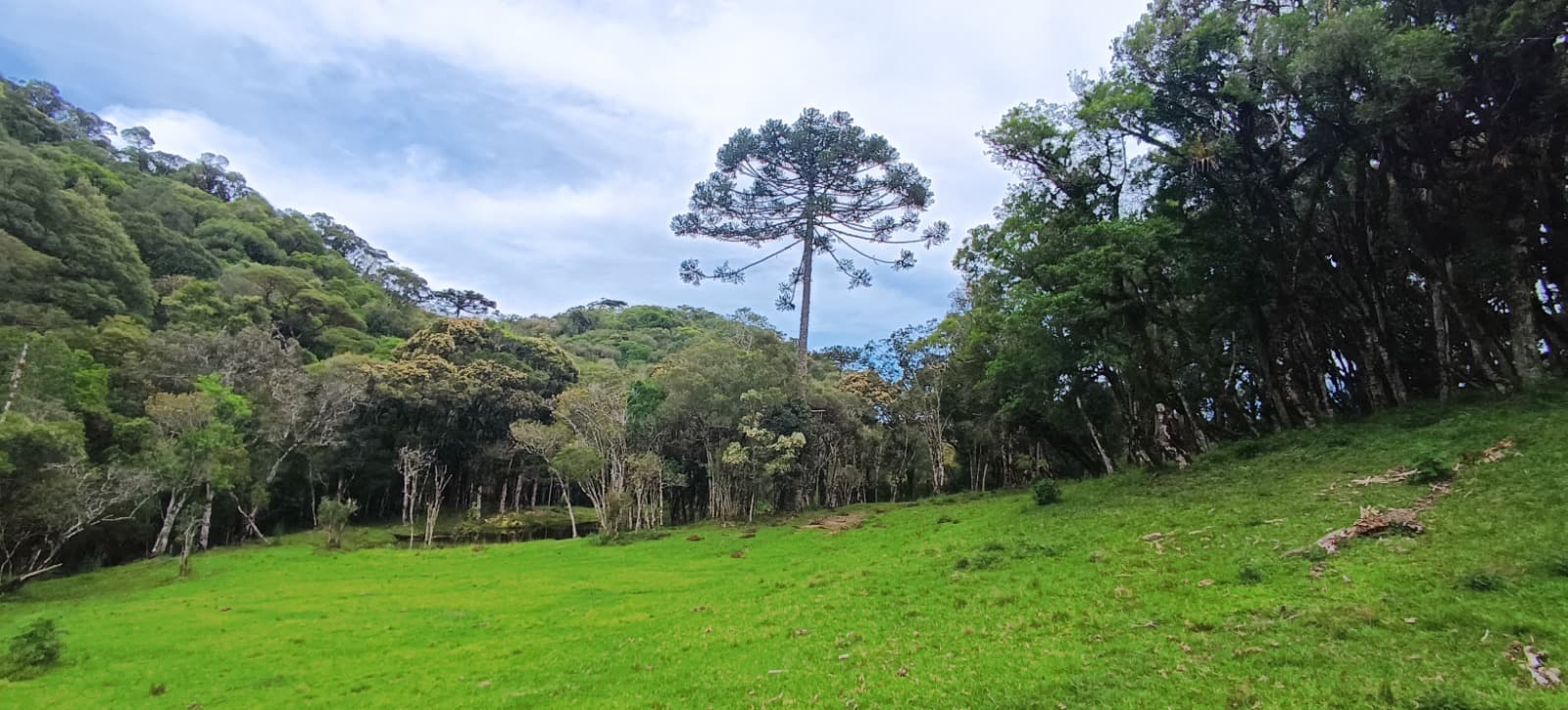 Área Rural em Rancho Queimado - 1