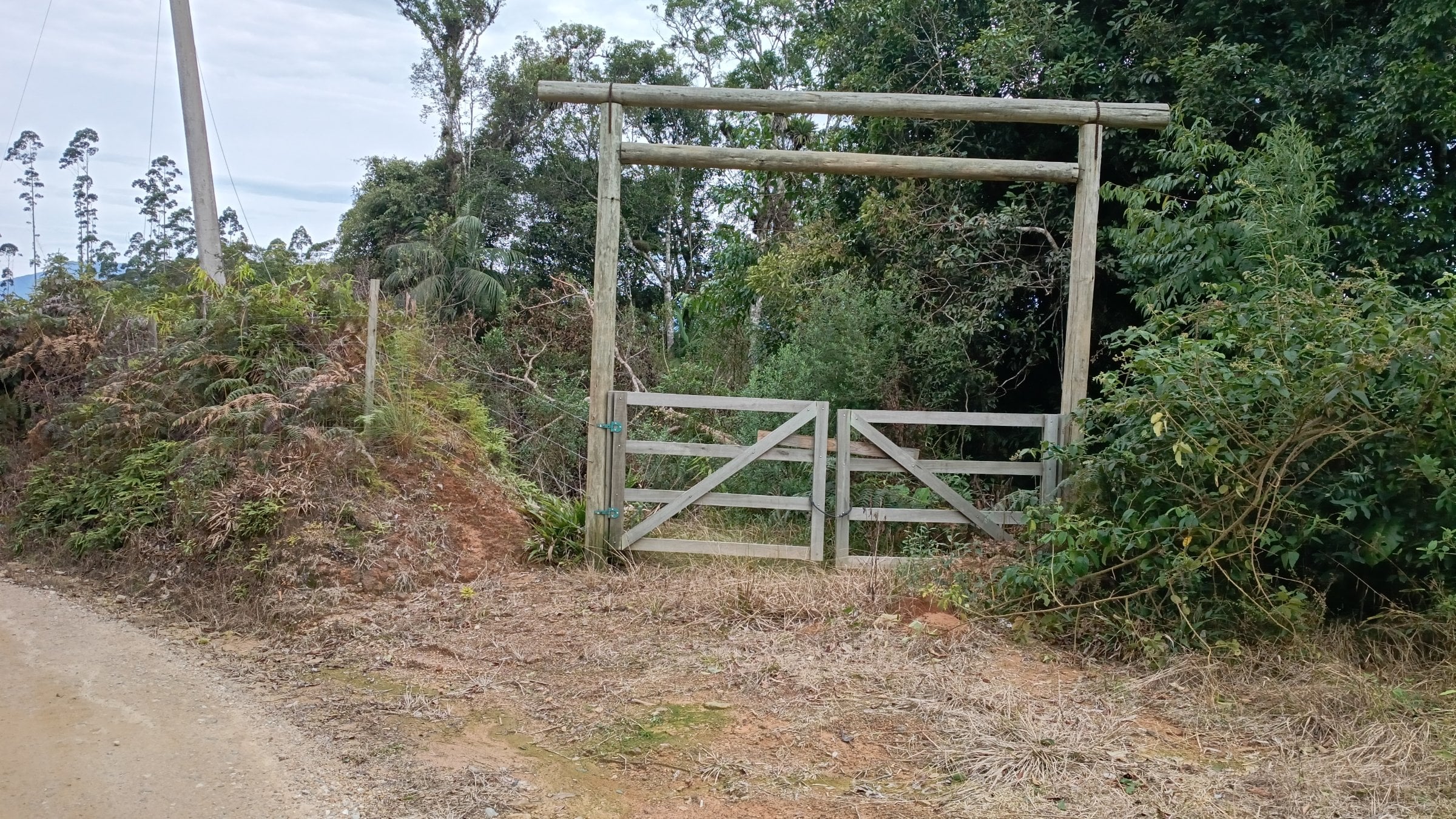 Oportunidade Sítio 3 Hectares (30.000m2) Boa Localização - 1